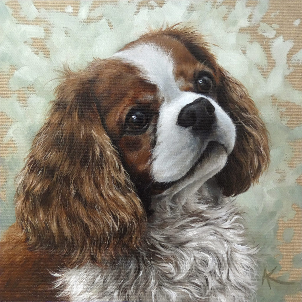 Opale • King Charles • peinture à l'huile